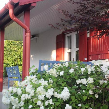 Nagymajor Birding Lodge Tiszacsege Extérieur photo